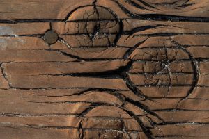 Ksylografia – jak zaczęła się historia ilustracji w drewnie?