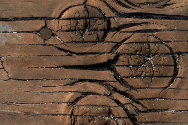 Ksylografia – jak zaczęła się historia ilustracji w drewnie?